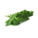 rocket_lettuce.png